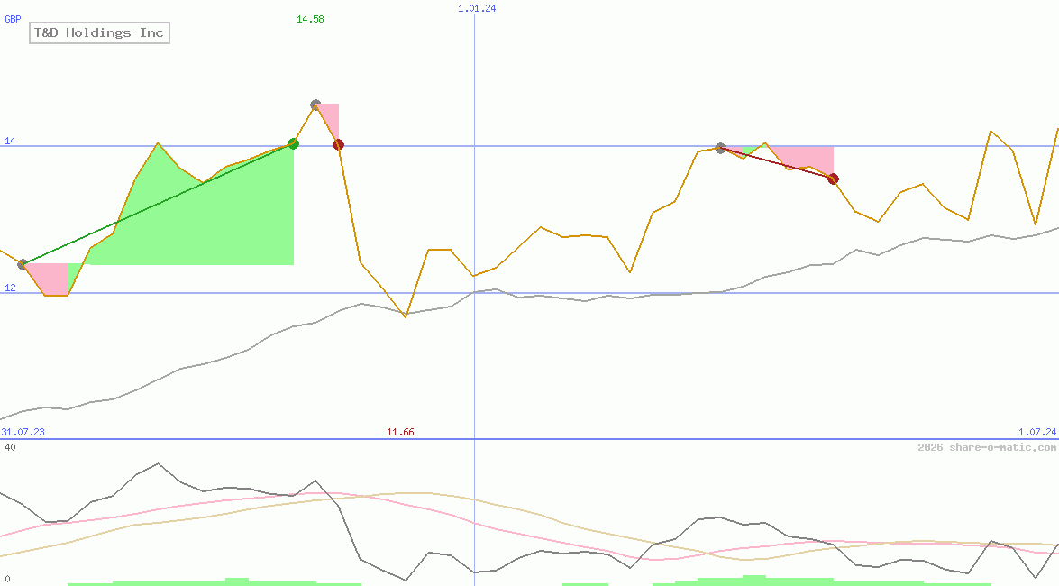 T&D Holdings Inc