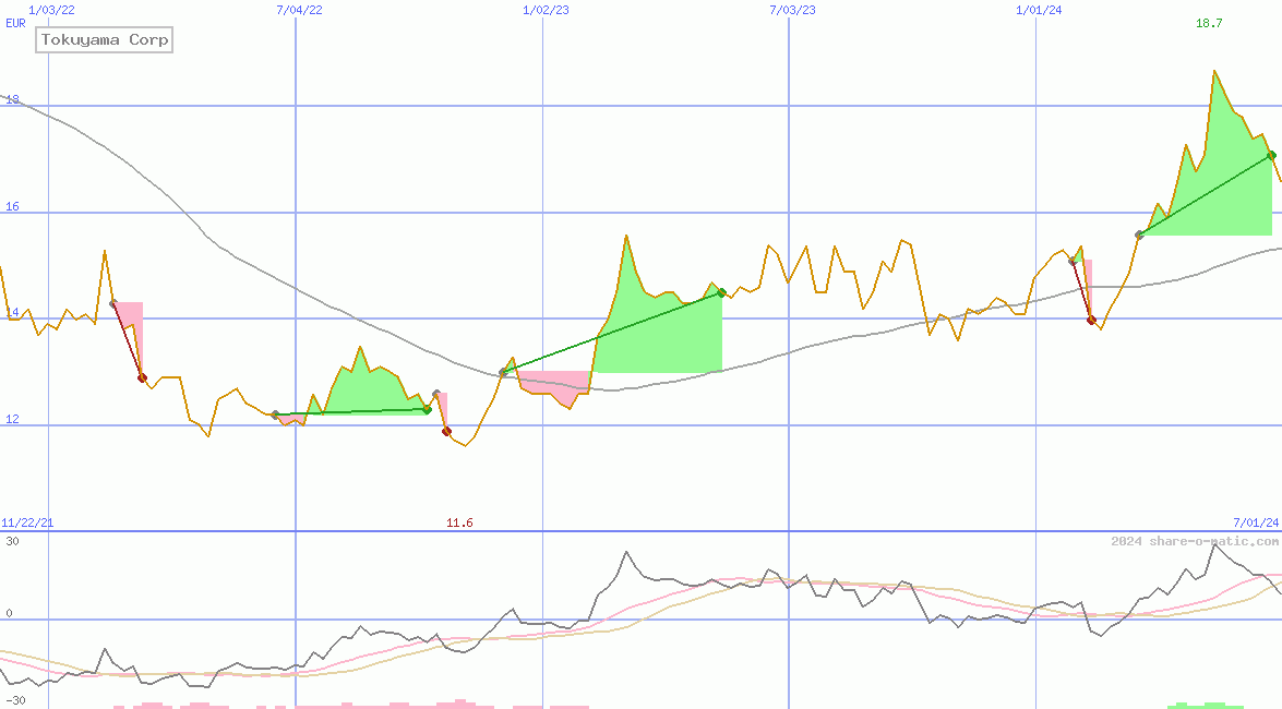 Tokuyama Corp