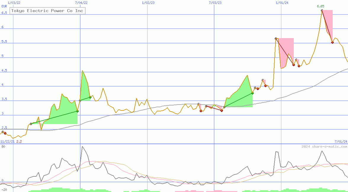 Tokyo Electric Power Co Inc