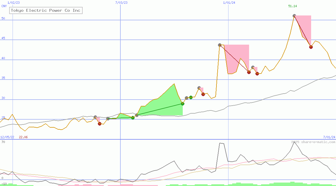 Tokyo Electric Power Co Inc