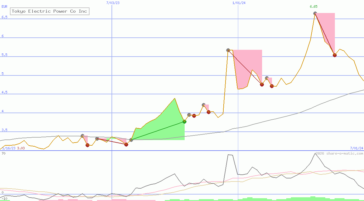 Tokyo Electric Power Co Inc