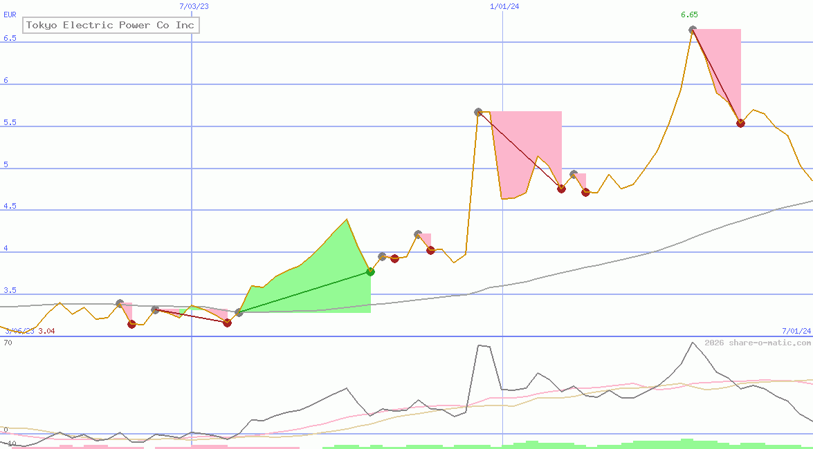 Tokyo Electric Power Co Inc