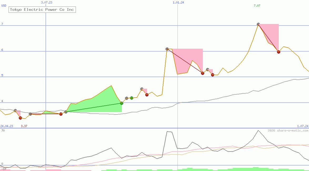 Tokyo Electric Power Co Inc