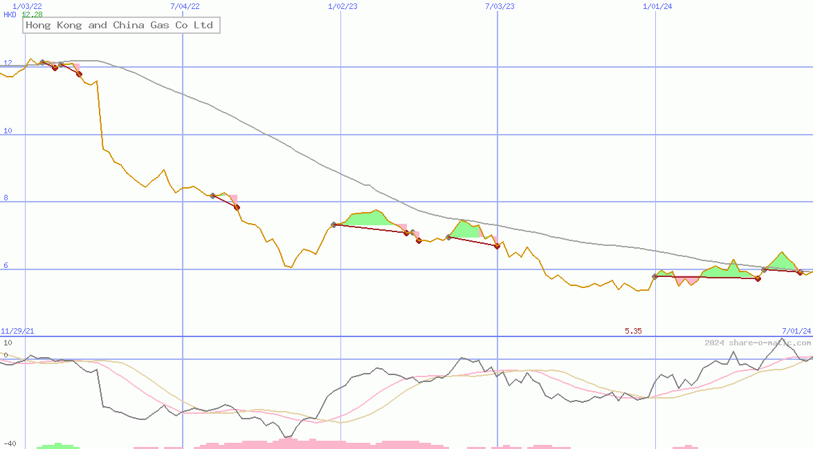 Hong Kong and China Gas Co Ltd