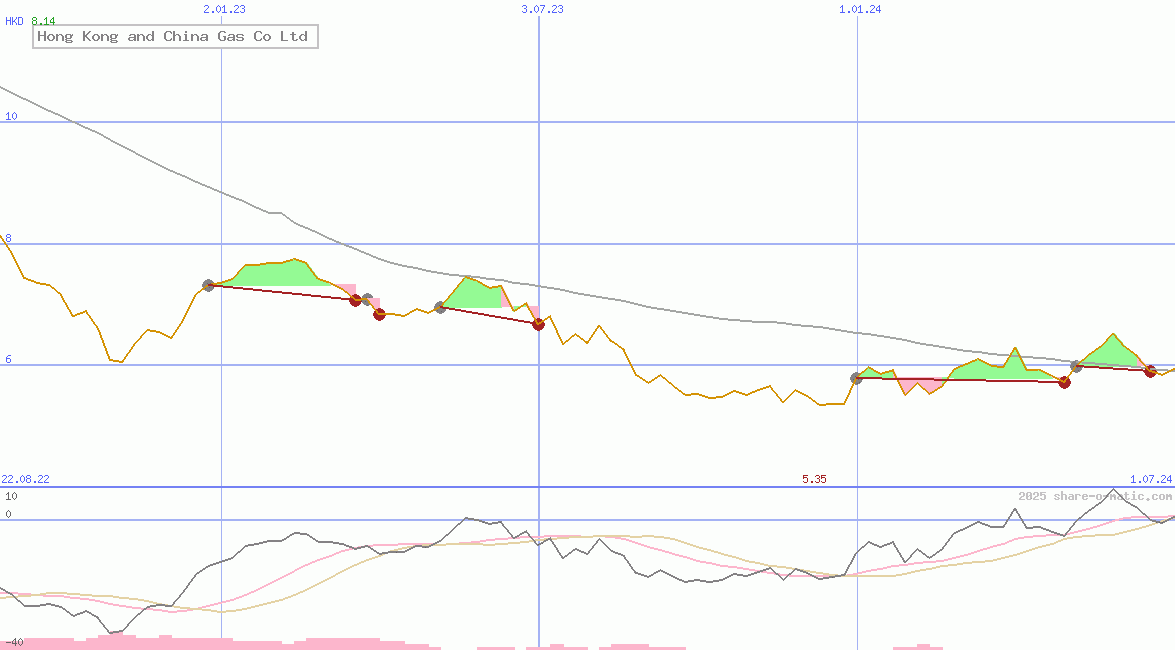 Hong Kong and China Gas Co Ltd
