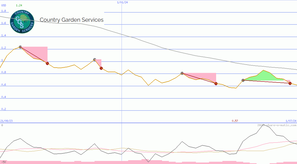 Country Garden Services Holdings Company Ltd