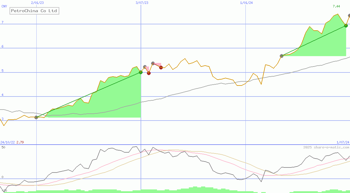 PetroChina Co Ltd