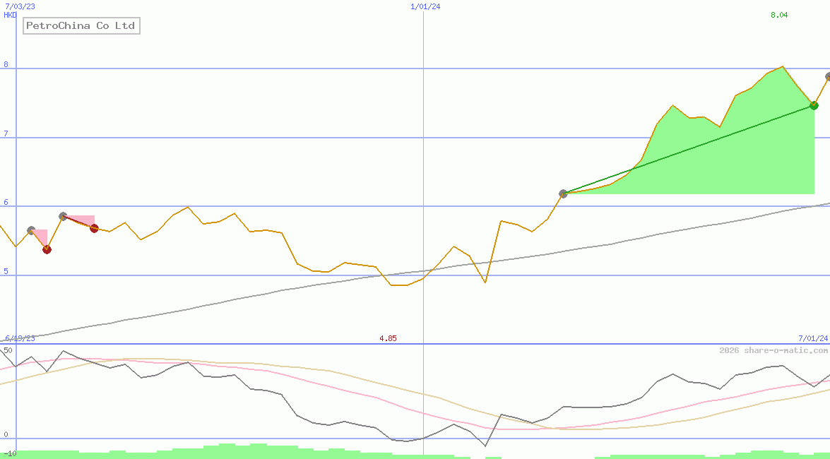 PetroChina Co Ltd