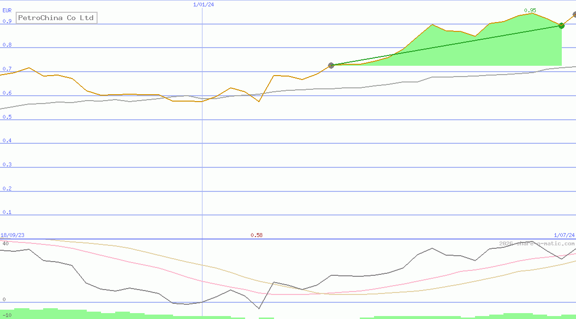 PetroChina Co Ltd