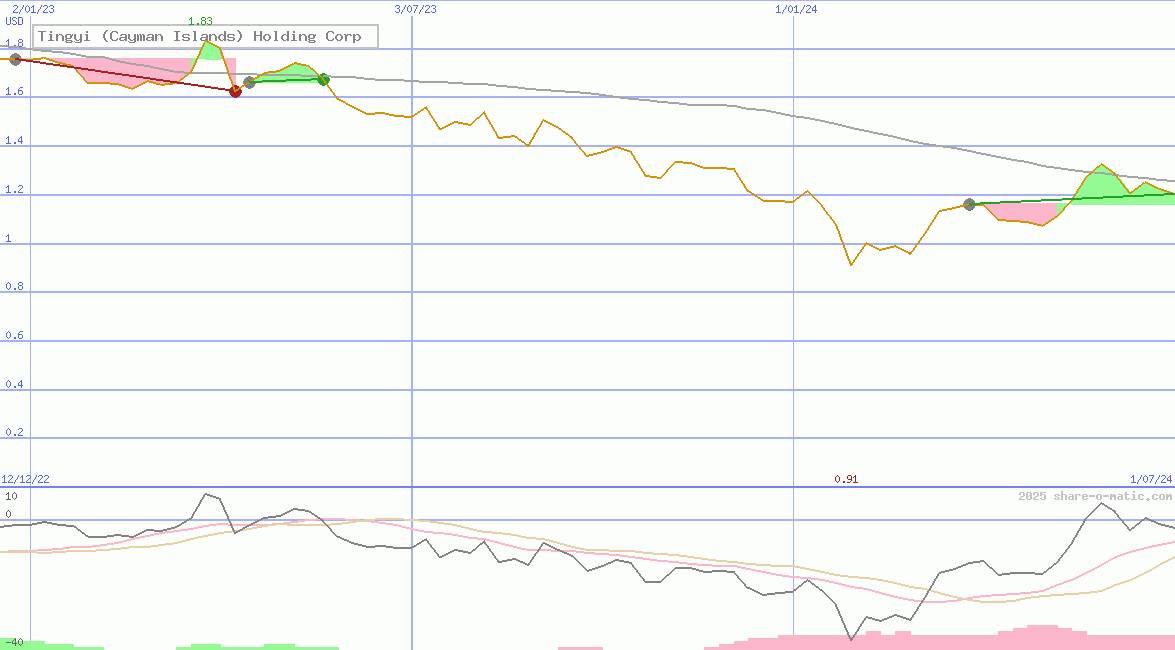 Tingyi (Cayman Islands) Holding Corp