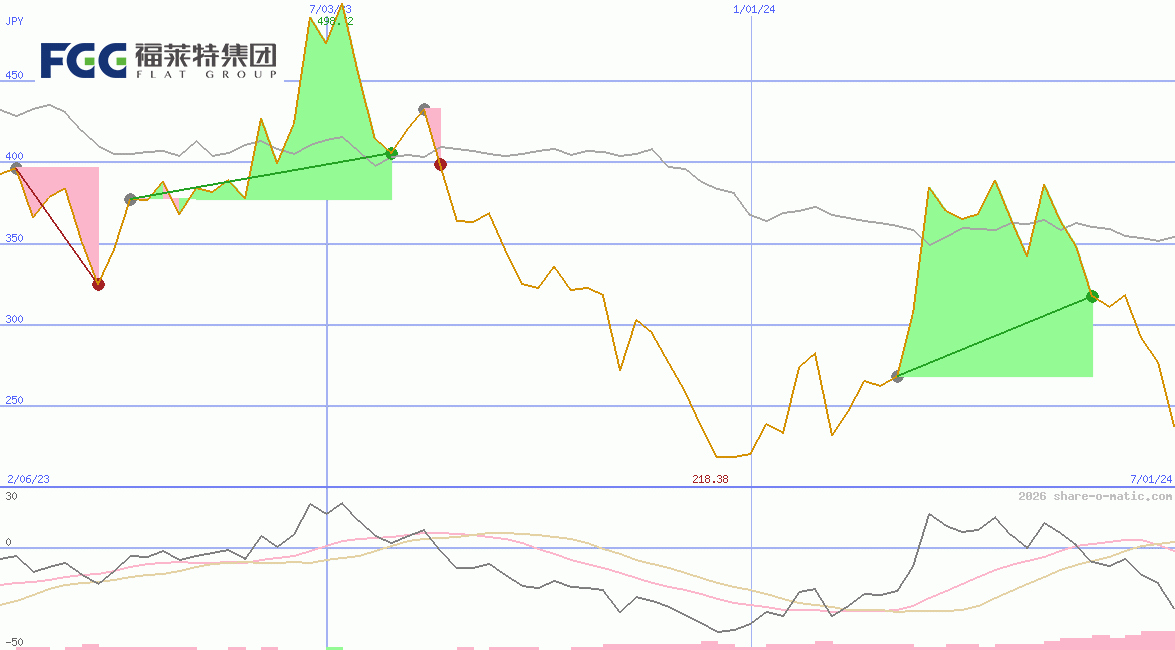 Flat Glass Group Co Ltd