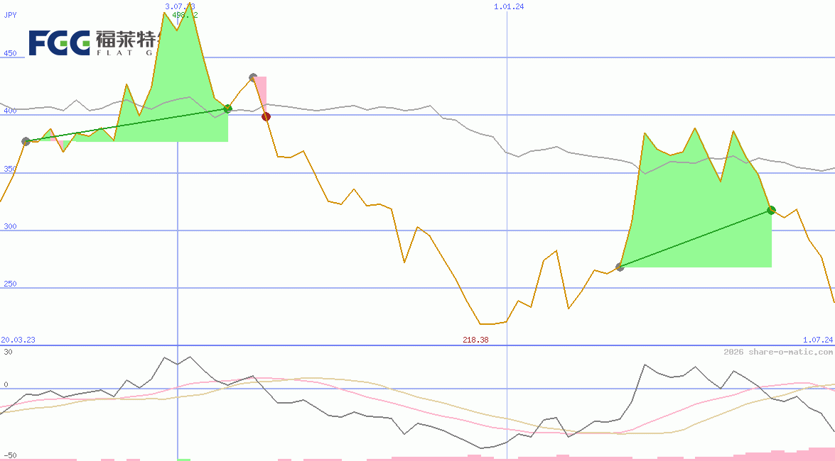 Flat Glass Group Co Ltd