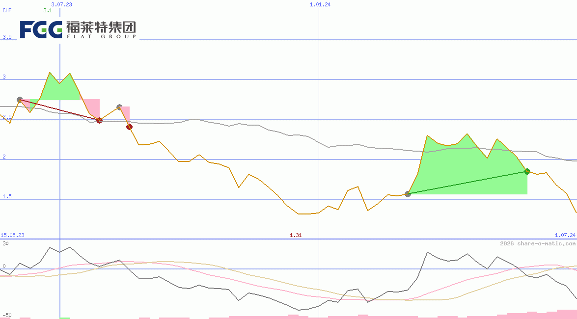 Flat Glass Group Co Ltd