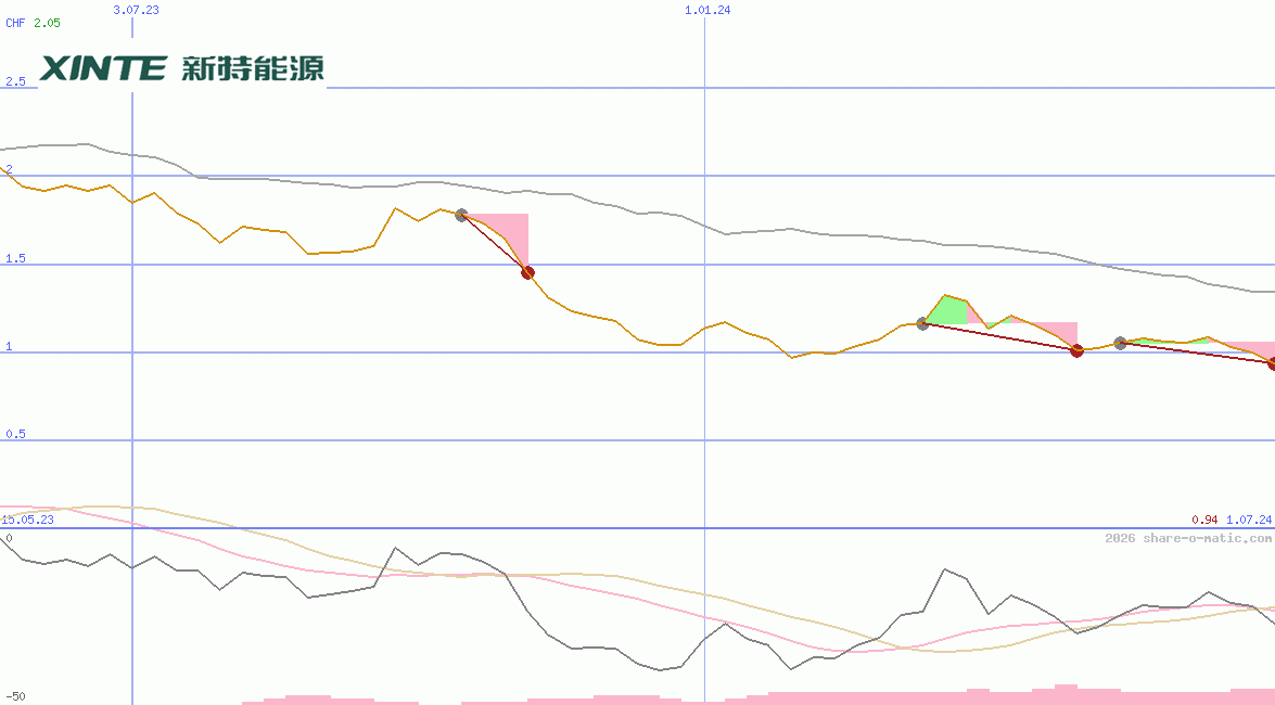 Xinte Energy Co Ltd