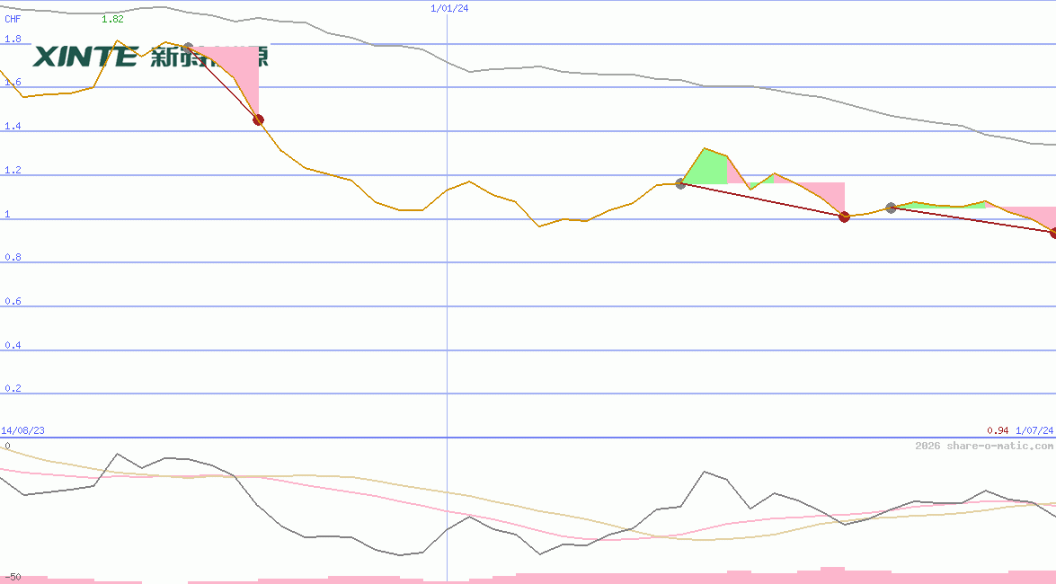 Xinte Energy Co Ltd