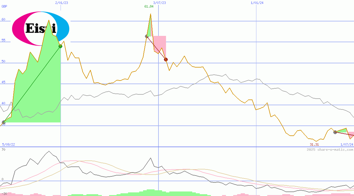 Eisai Co Ltd