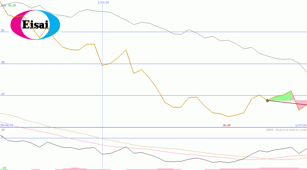 Eisai Co Ltd