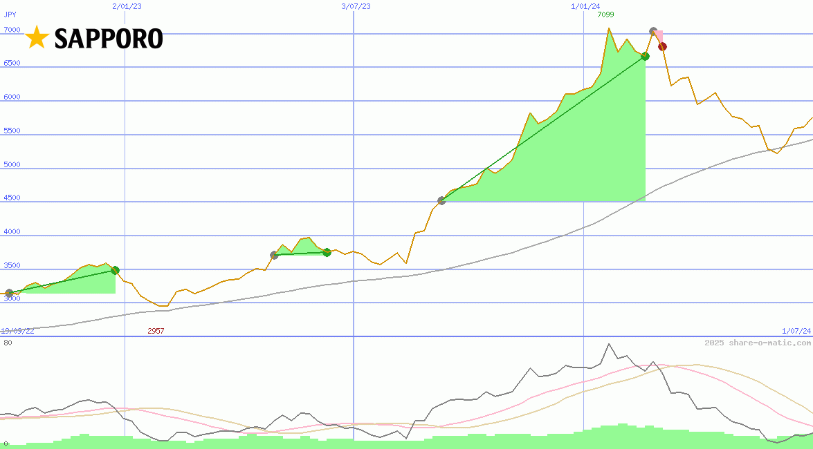Sapporo Holdings Ltd