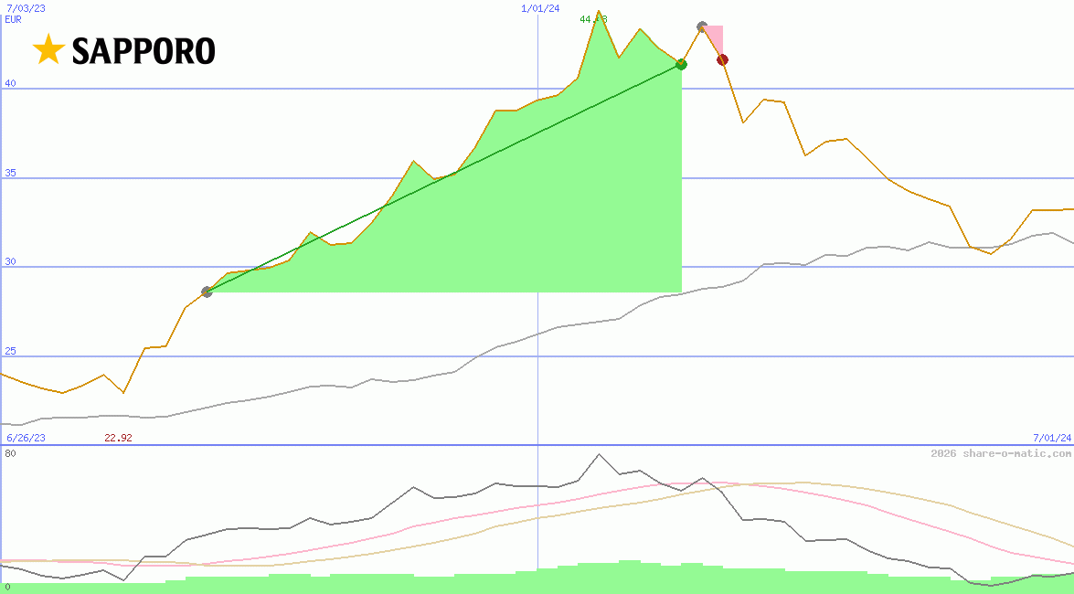 Sapporo Holdings Ltd