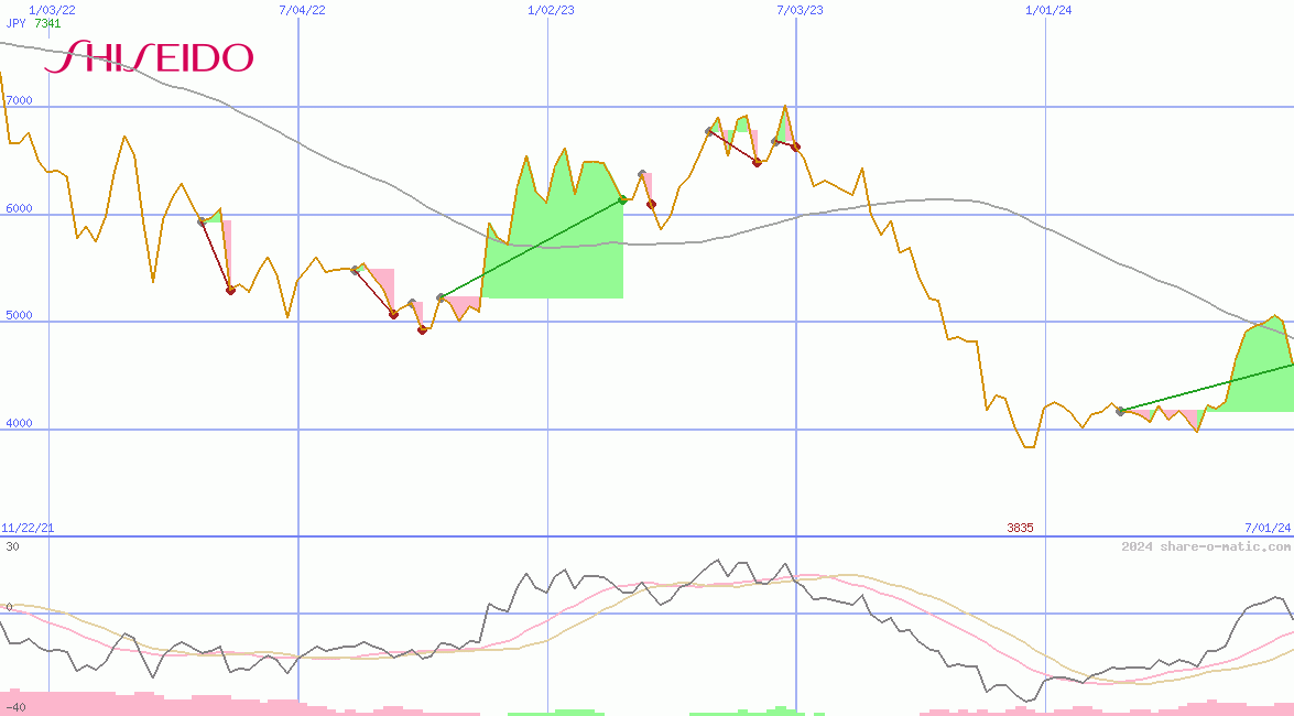 Shiseido Co Ltd