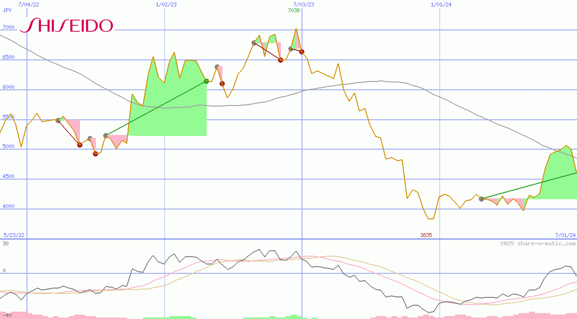 Shiseido Co Ltd