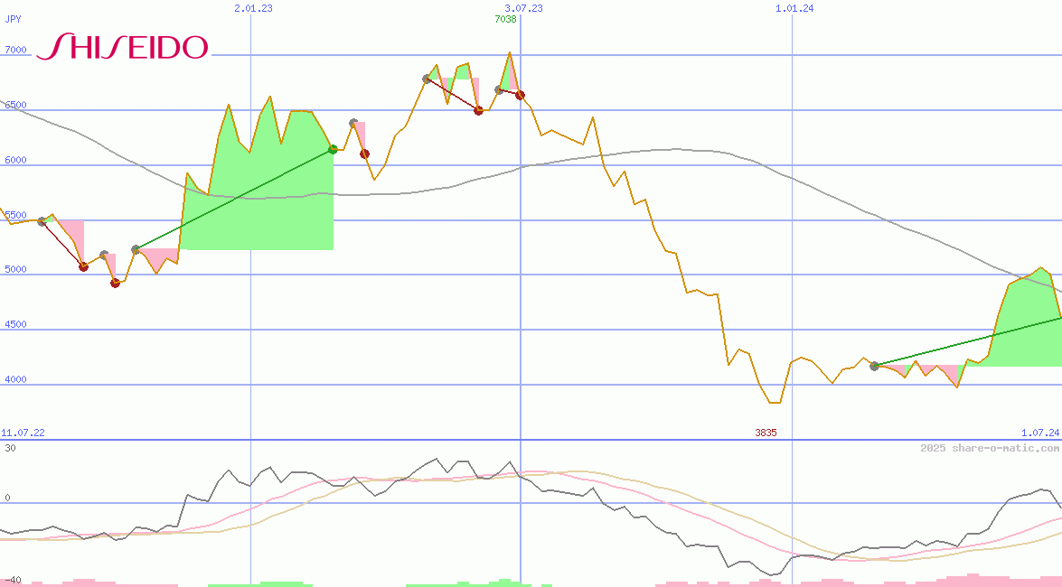 Shiseido Co Ltd