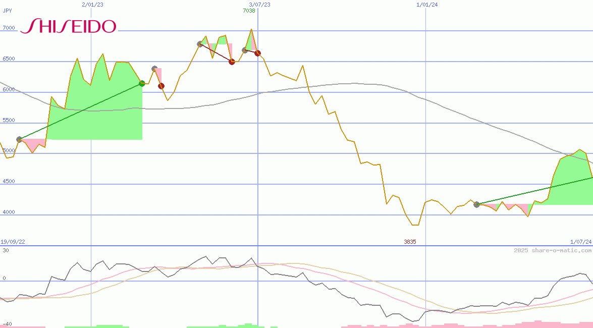 Shiseido Co Ltd