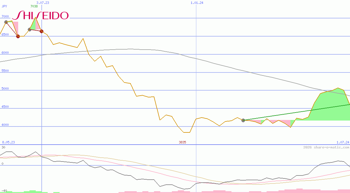 Shiseido Co Ltd