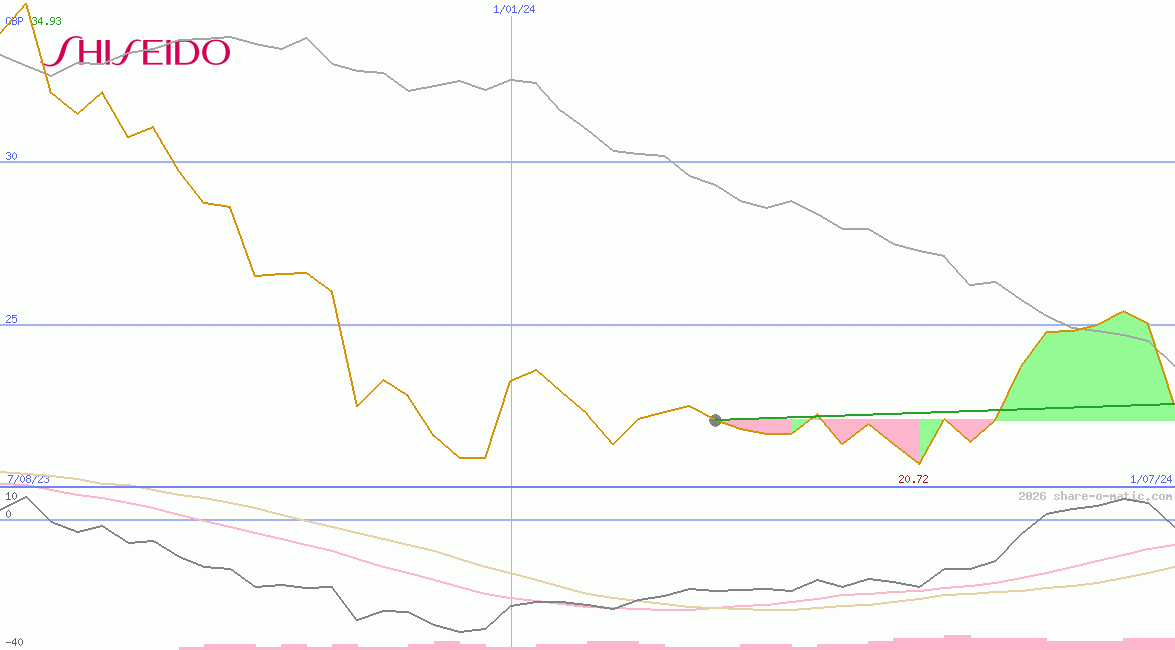 Shiseido Co Ltd