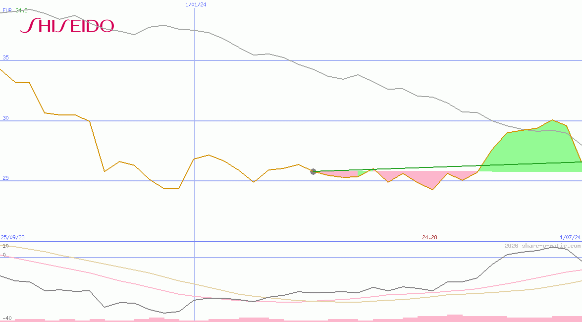 Shiseido Co Ltd