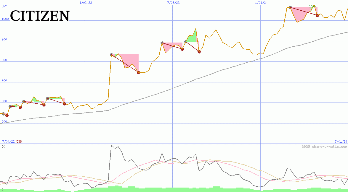 Citizen Holdings Co Ltd
