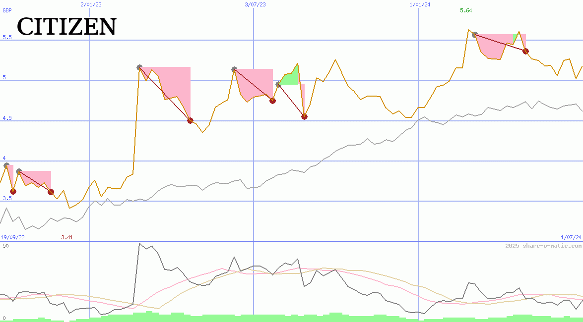 Citizen Holdings Co Ltd