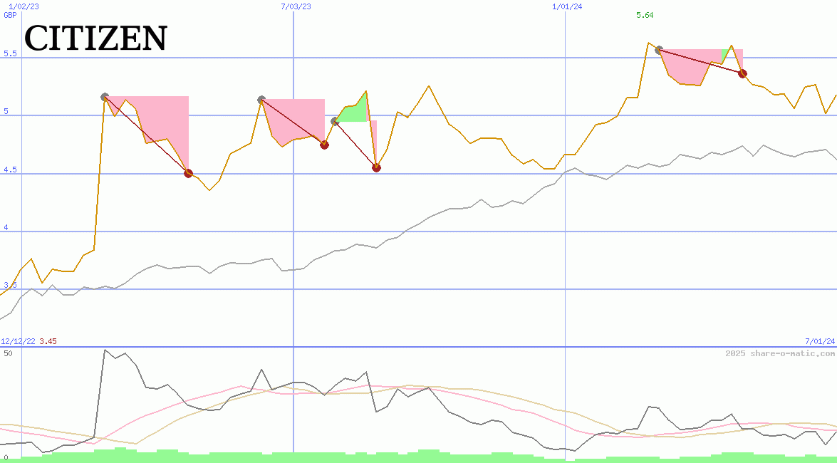 Citizen Holdings Co Ltd