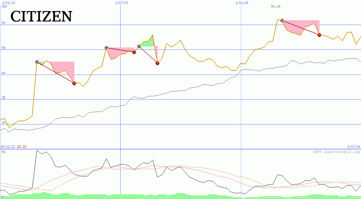 Citizen Holdings Co Ltd
