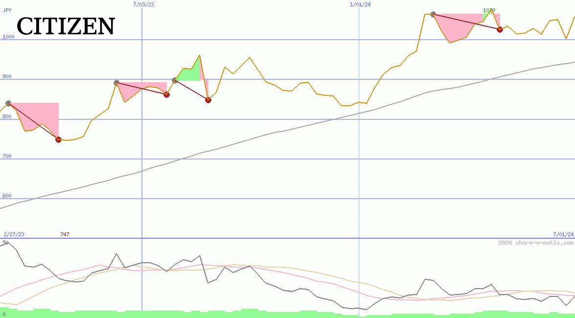 Citizen Holdings Co Ltd