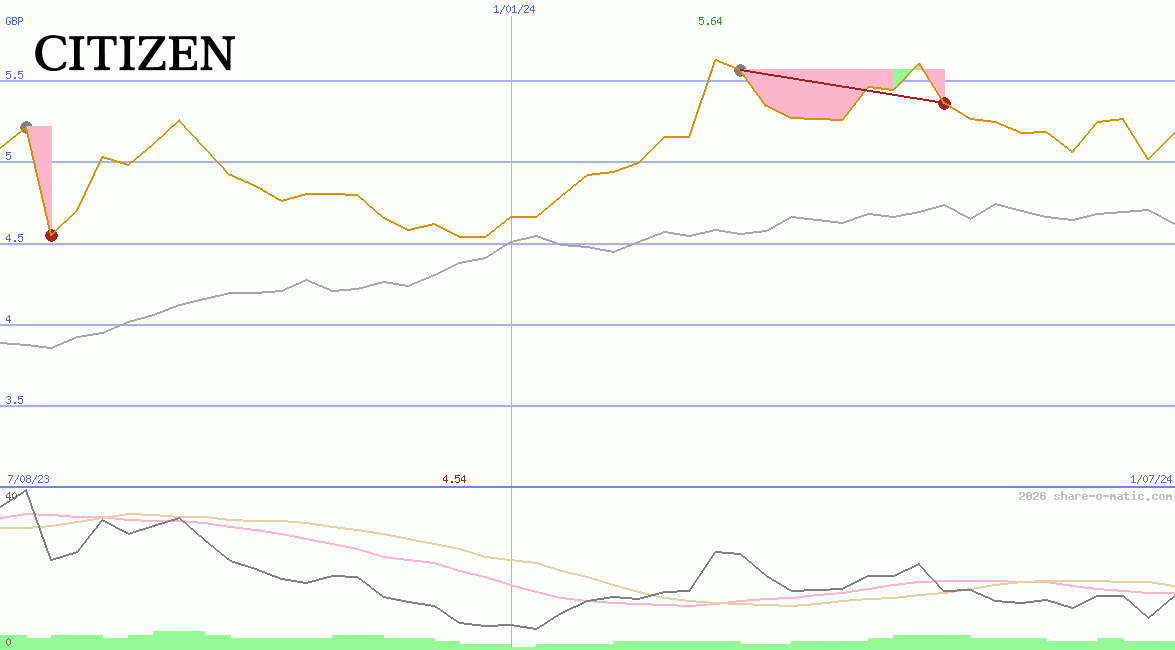 Citizen Holdings Co Ltd