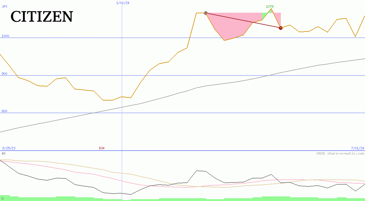 Citizen Holdings Co Ltd