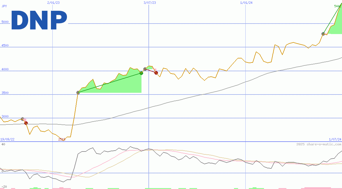 Dai Nippon Printing Co Ltd