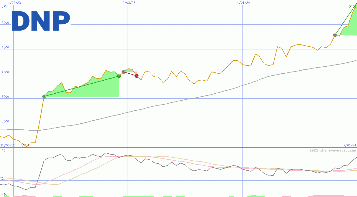 Dai Nippon Printing Co Ltd