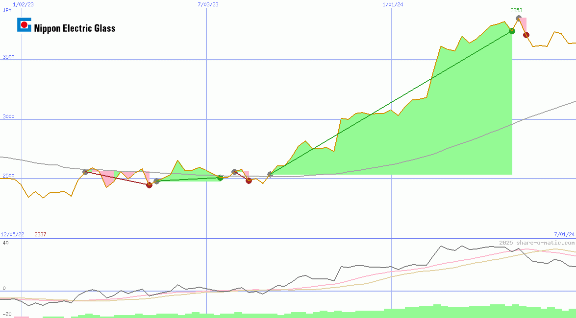 Nippon Electric Glass Co Ltd