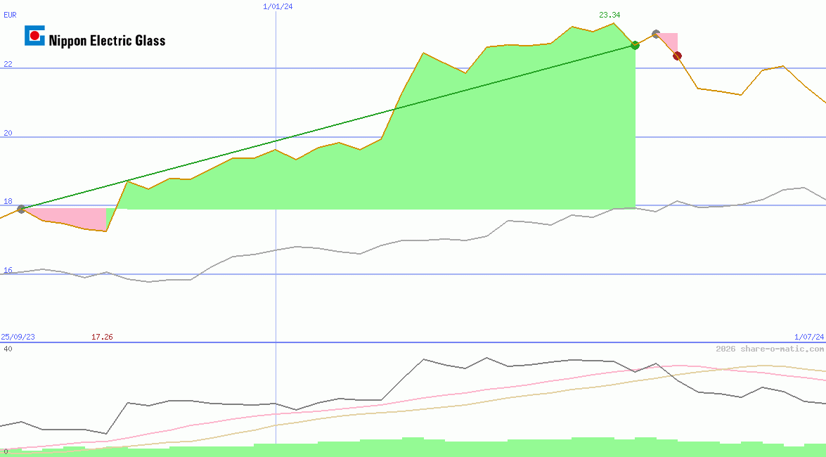 Nippon Electric Glass Co Ltd
