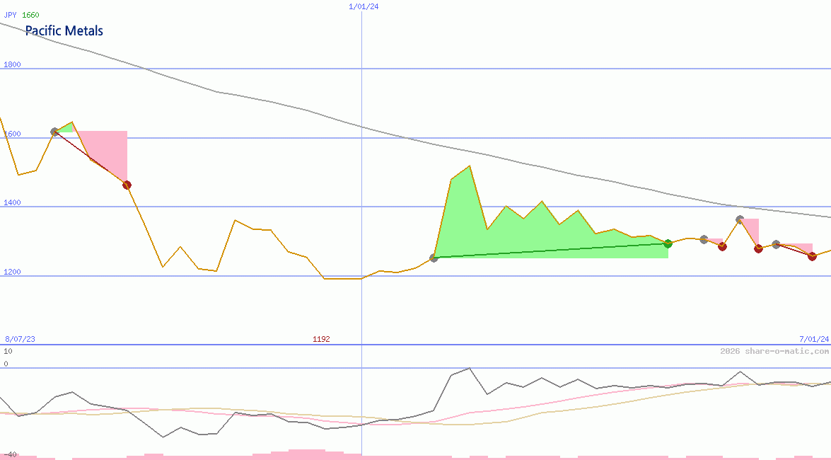 Pacific Metals Co Ltd
