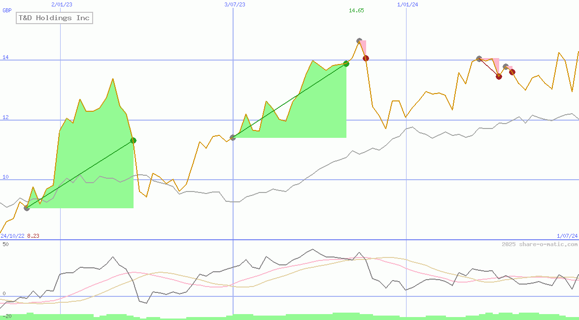 T&D Holdings Inc