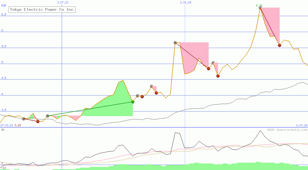 Tokyo Electric Power Co Inc