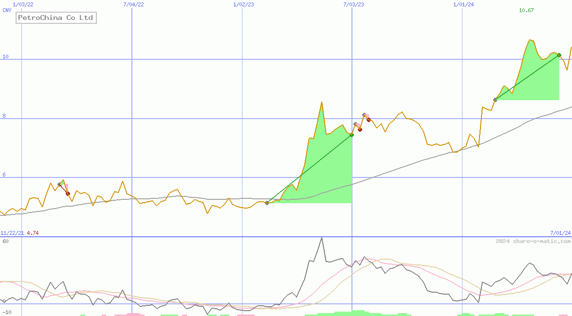 PetroChina Co Ltd