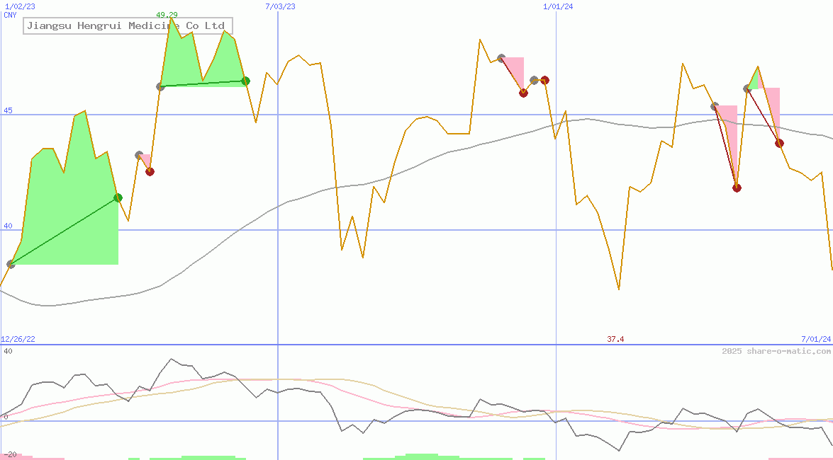 Jiangsu Hengrui Medicine Co Ltd
