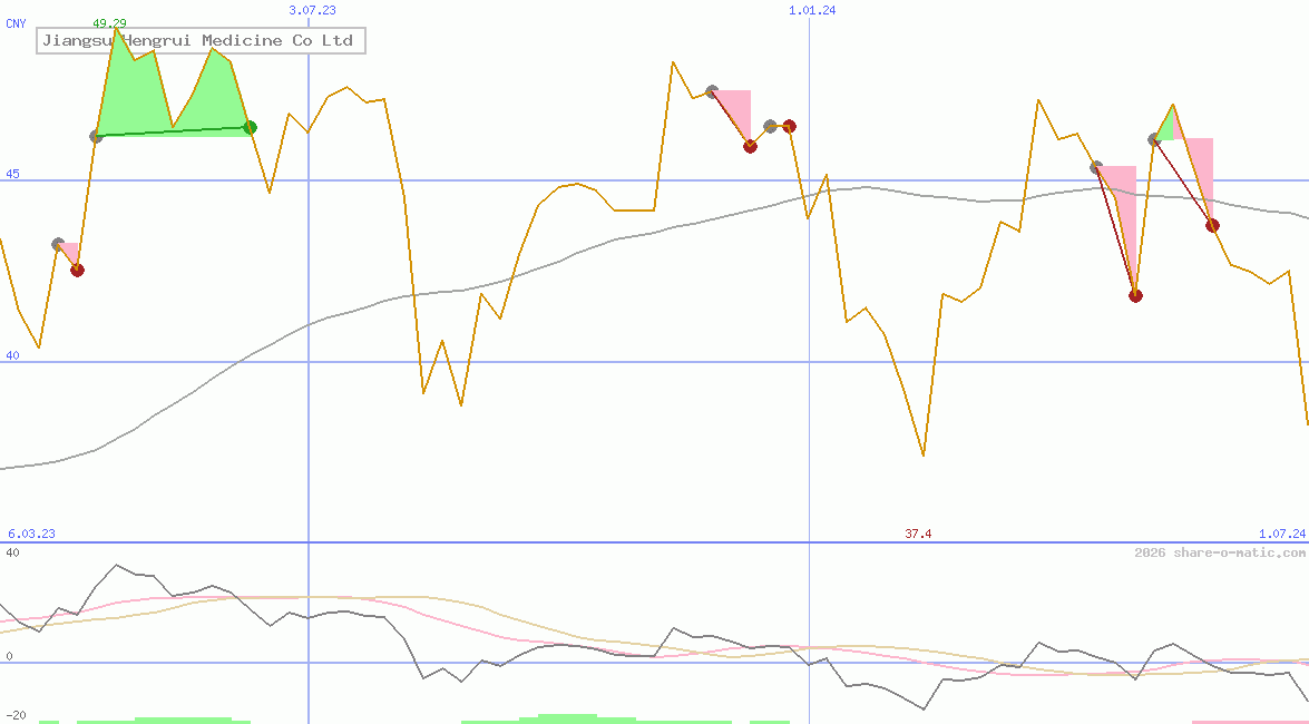 Jiangsu Hengrui Medicine Co Ltd