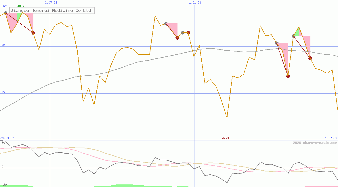 Jiangsu Hengrui Medicine Co Ltd