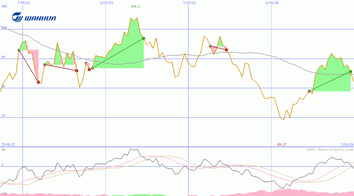 Wanhua Chemical Group Co Ltd