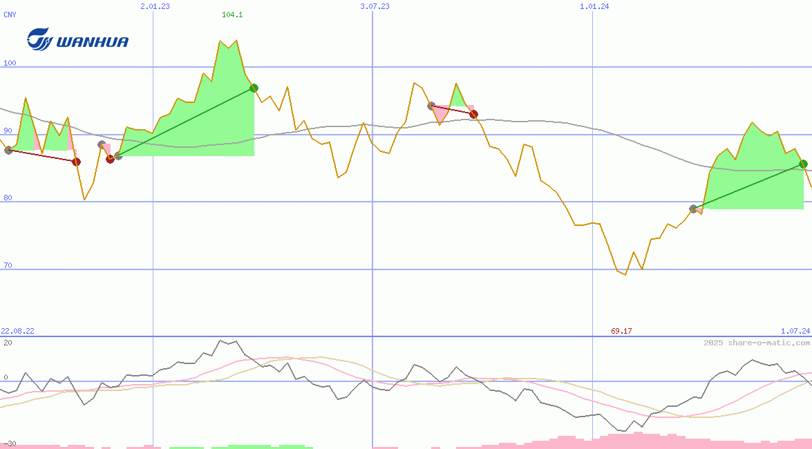 Wanhua Chemical Group Co Ltd